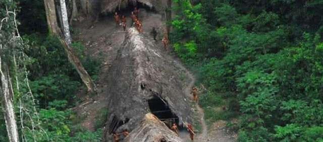 上世纪70年代被灭族的原始人，现发现幸存者，在疯狂的挖洞