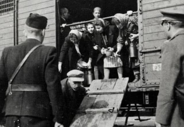420位犹太人的越狱，过半人数越狱成功，最终却只幸存58人