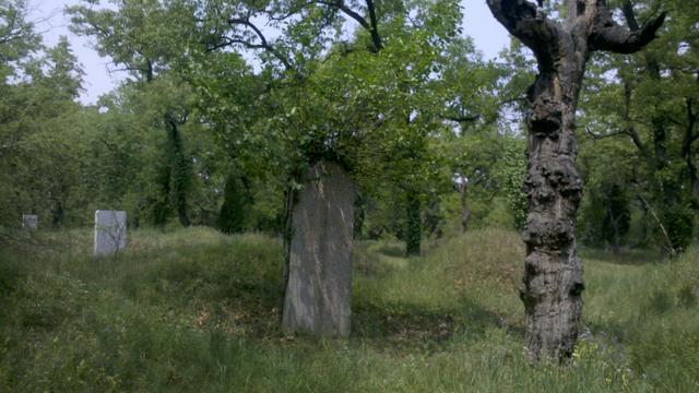 离开三孔，我去了一个隐没在村里的古迹——少昊陵